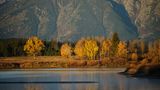 Fall at Oxbow Bend von Ruedi Stähli 