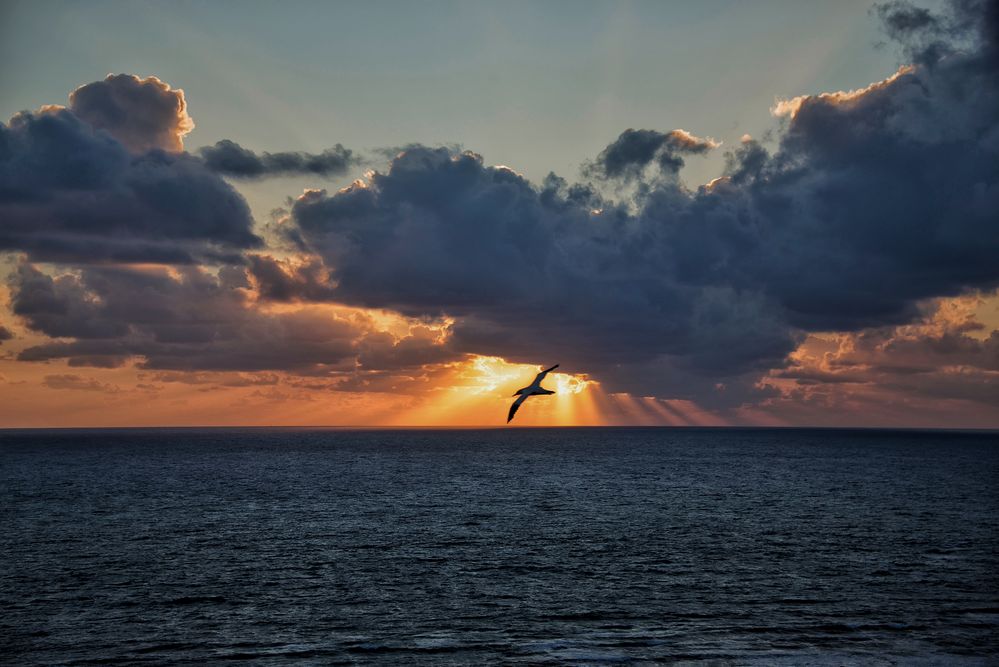 Über den Wolken  von Fischer Roland