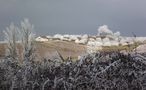 GIVRE SUR LE VIGNOBLE JURASSIEN de BUBUL