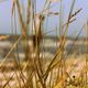 Am Strand von Hiddensee