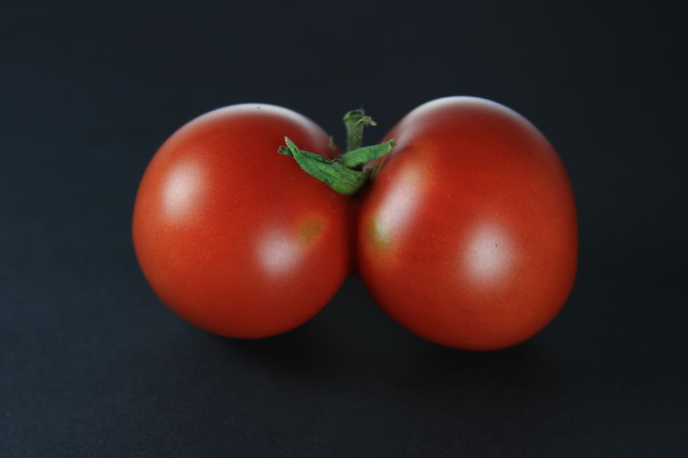 Alles Tomate oder was? von BrinaSa 