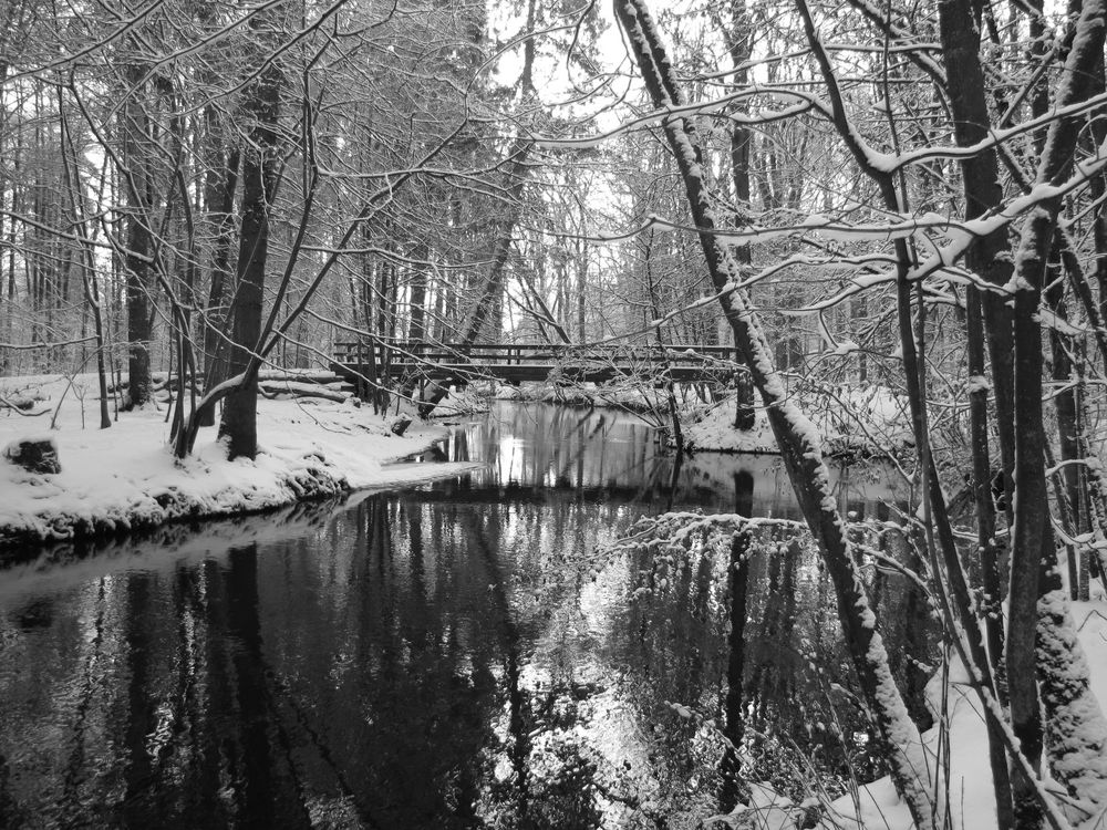 Winter in Schwarz-Weiß von Panasonic Jojo 