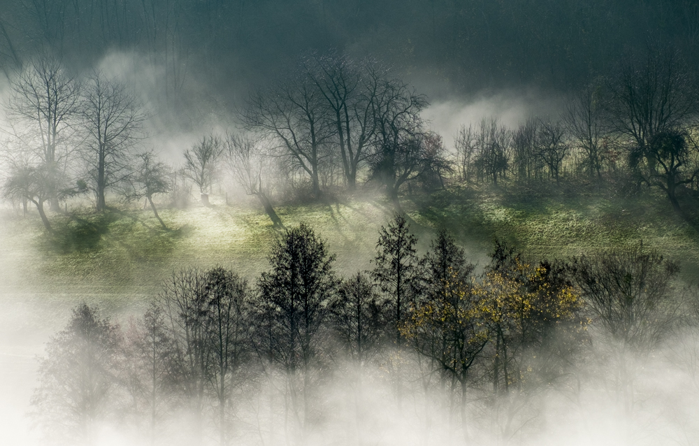 Nebel im Frühling von Christine29