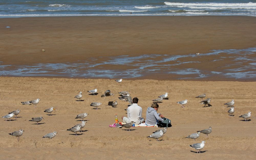 Ostende am Strand de Raymond WIDAWSKI