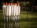 arrows by sfs-photography -Sören Spieckermann- 