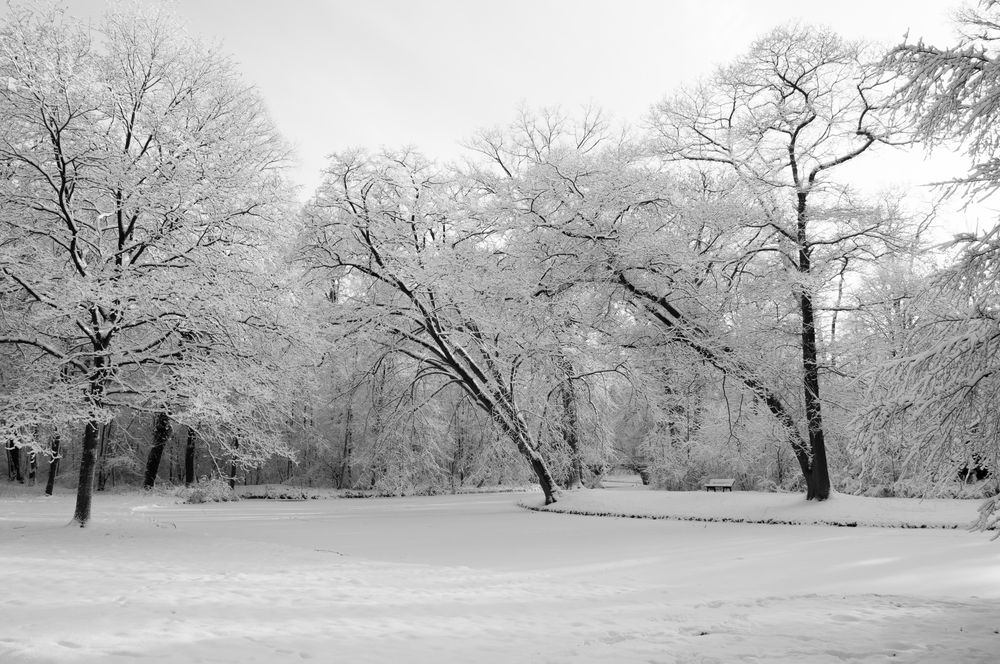 Im Park von Shadowblue 