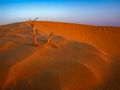 Punkt der Stille im Sonnenuntergang by joergholger.krause