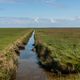 Hallig Hooge