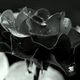 Black Rose