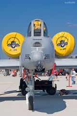 A-10 Thunderbolt II - Detail 3