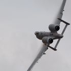 A-10 Thunderbolt II (Warzenschwein)