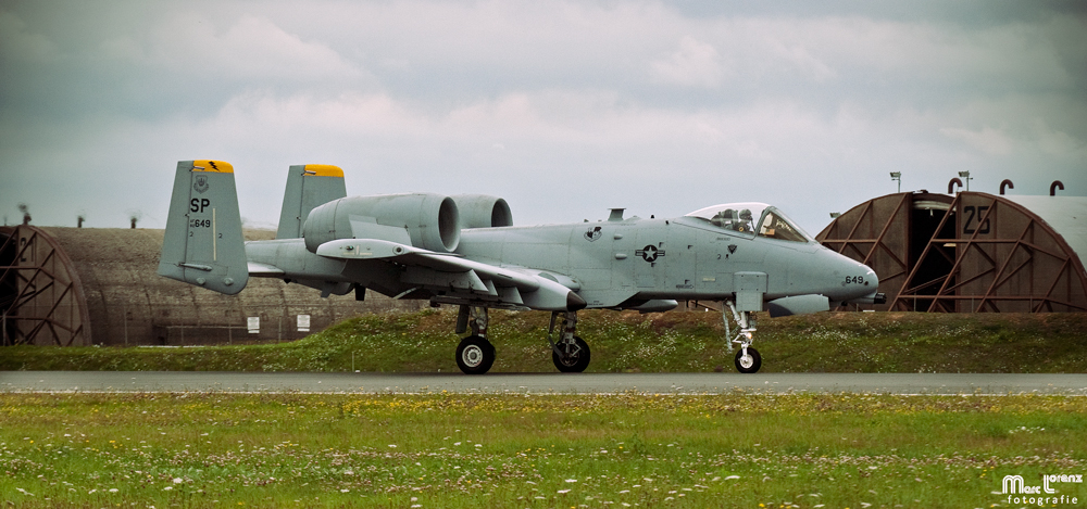 A-10 - Warzenschwein