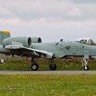 A-10 - Warzenschwein