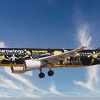 A 320 BVB Fan Airbus