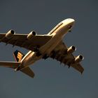 A 380 im Landeanflug in der Abendsonne