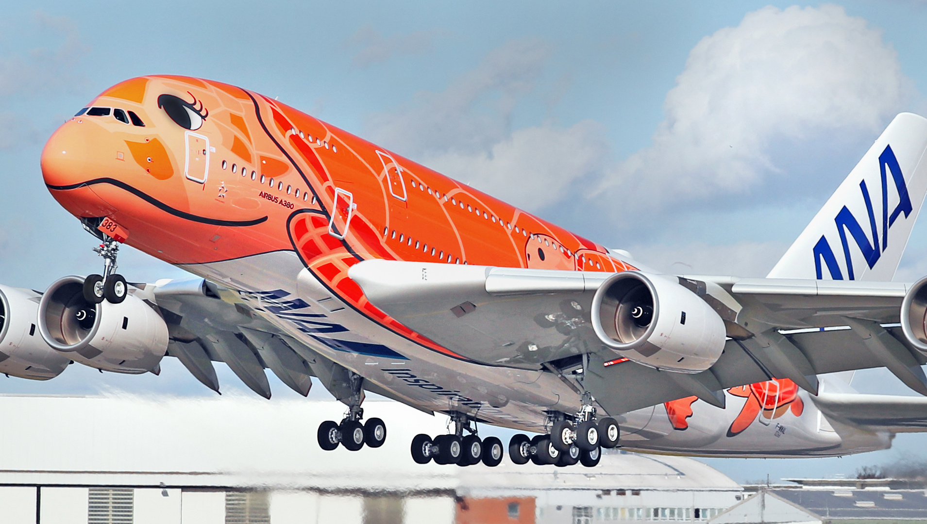 A 380 im Schildkröten Design