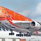 A 380 im Schildkröten Design