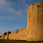 à Aigues-mortes