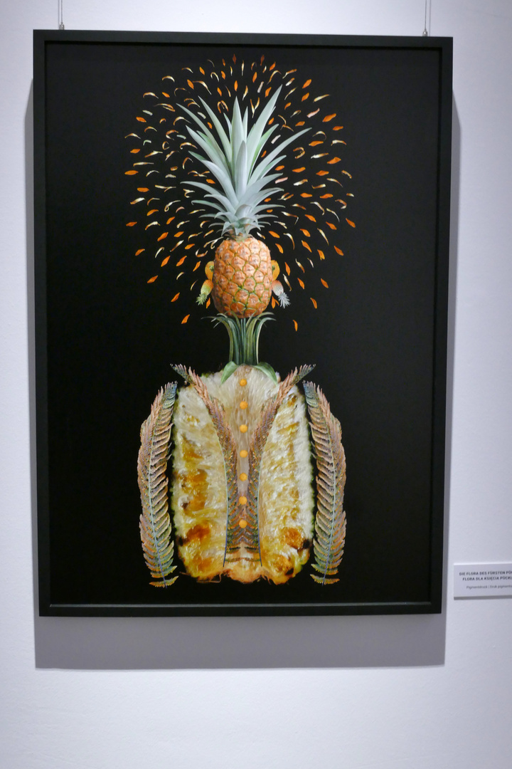 "à Arcimboldo II"(Frau Ananas)