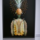 "à Arcimboldo II"(Frau Ananas)