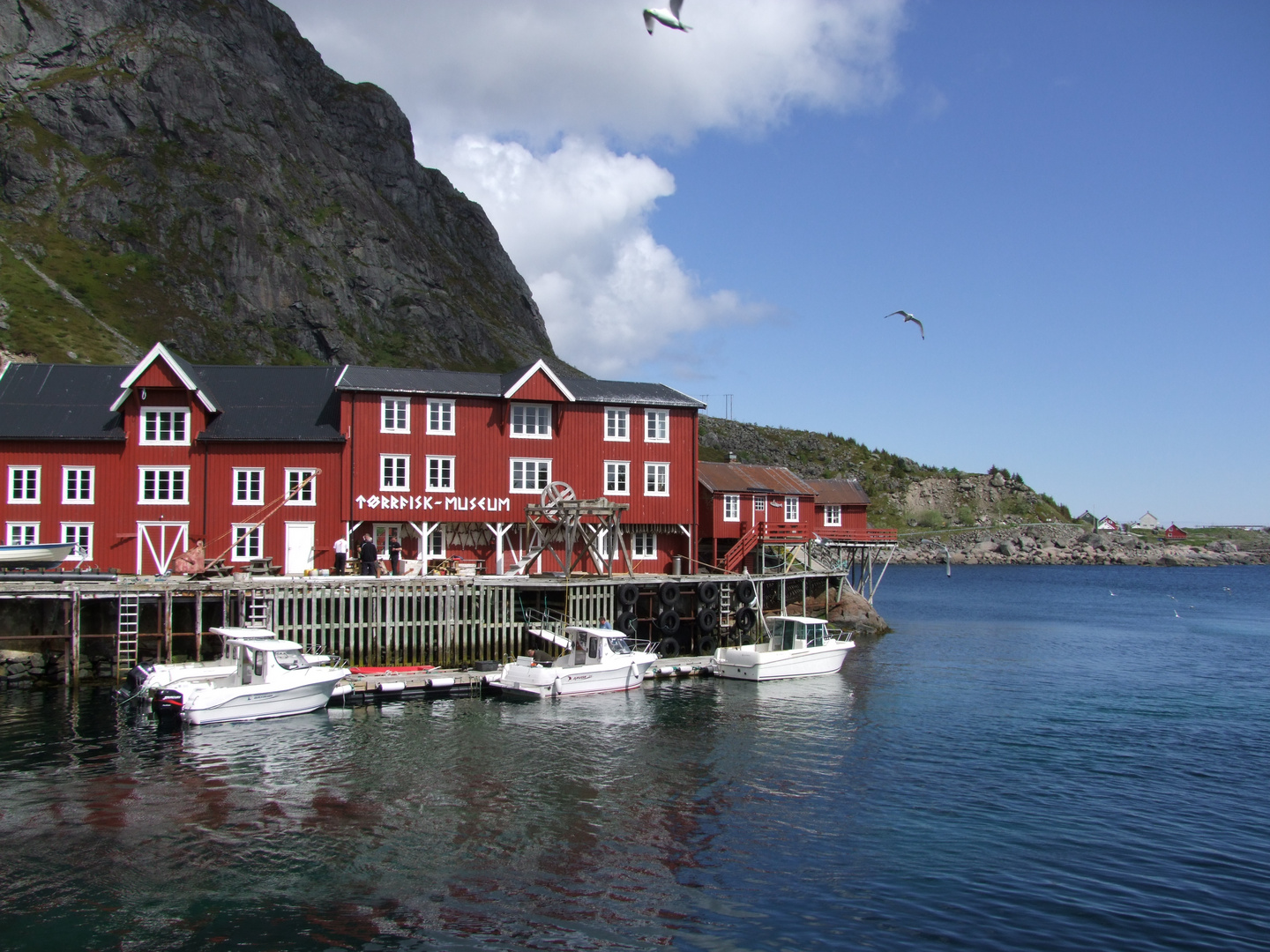 A auf den Lofoten