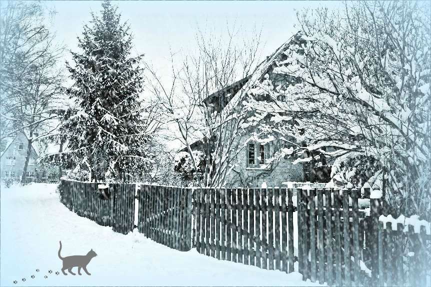 A B C, die Katze lief im Schnee -