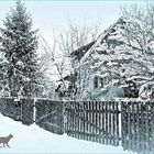 A B C, die Katze lief im Schnee -