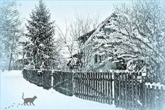 A B C, die Katze lief im Schnee -