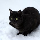 A B C die Katze lief im Schnee