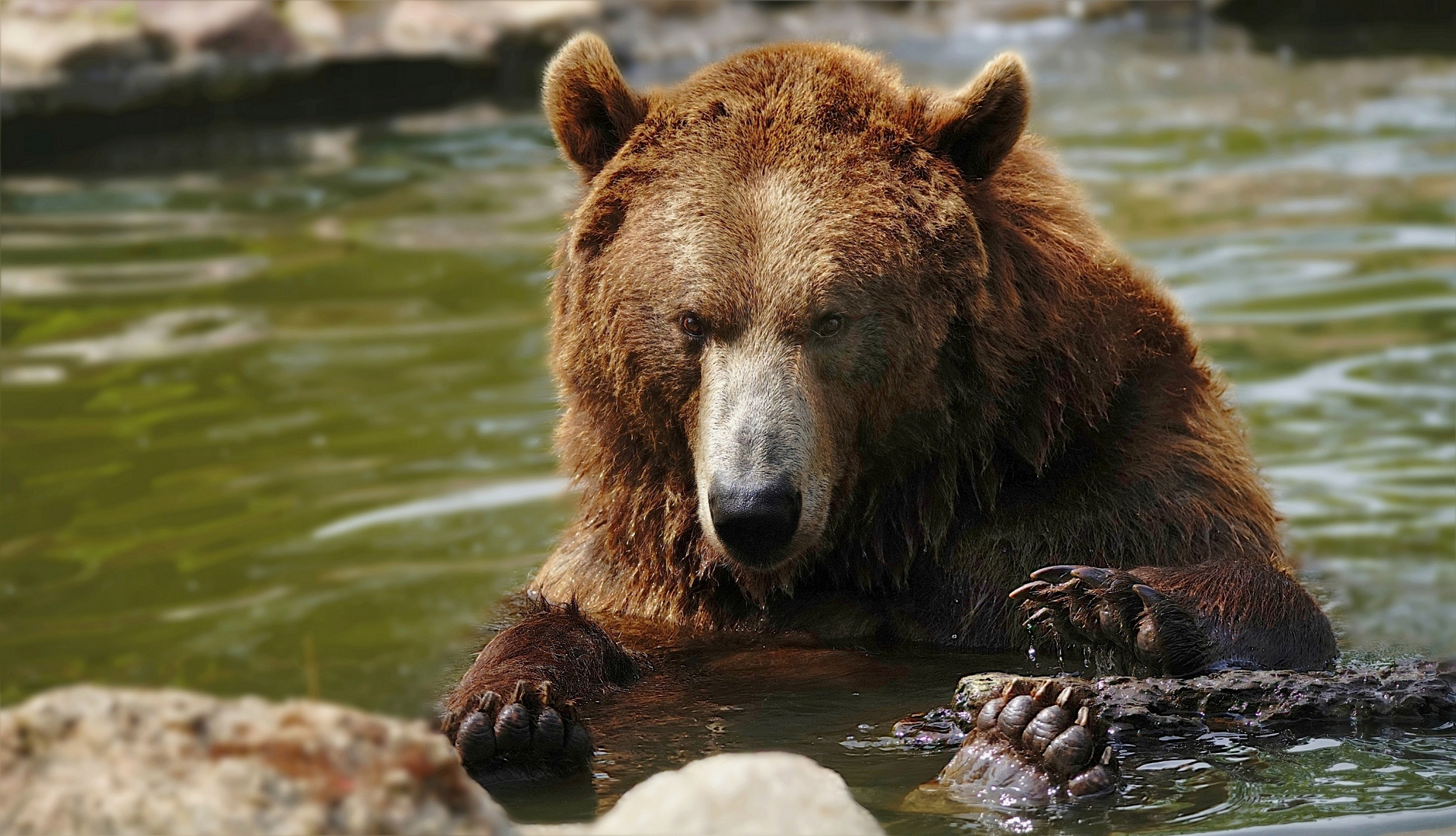 A bath is just right in the heat !!!