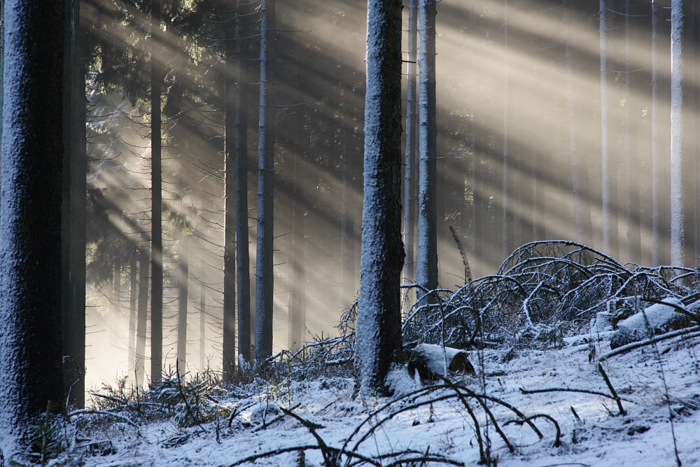 a beam of sunshine