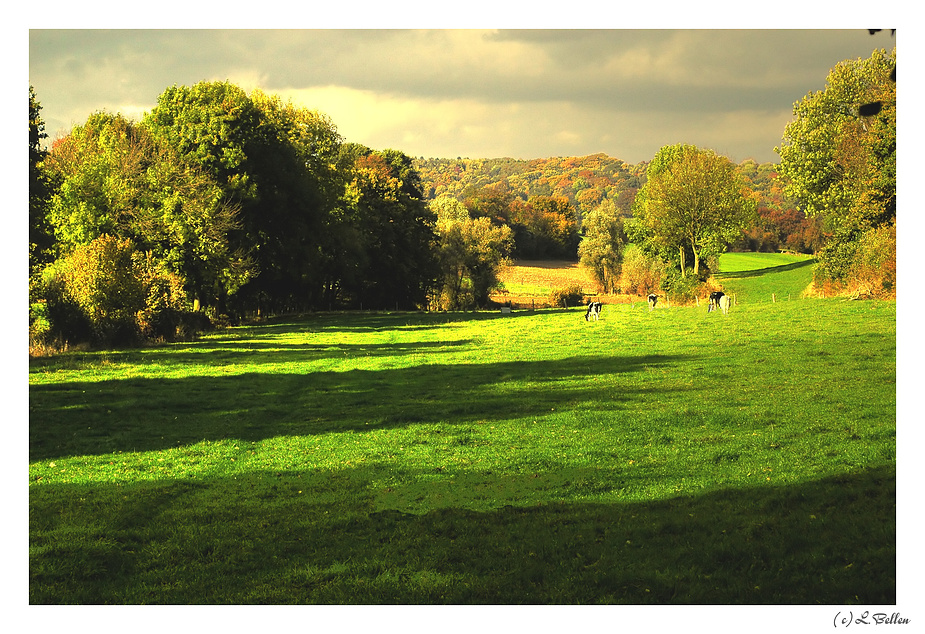 " A beautiful autumn afternoon "