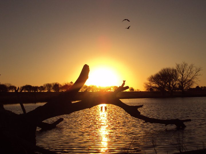 A Beautiful Bushveld Evening(3)