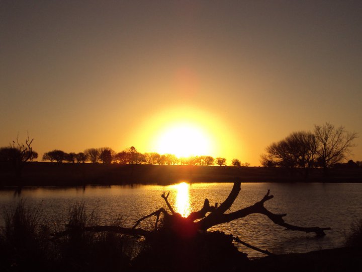 A Beautiful Bushveld Evening(5)