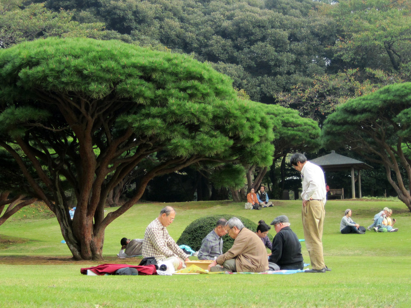 A Beautiful Day at the Park