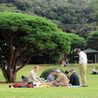 A Beautiful Day at the Park