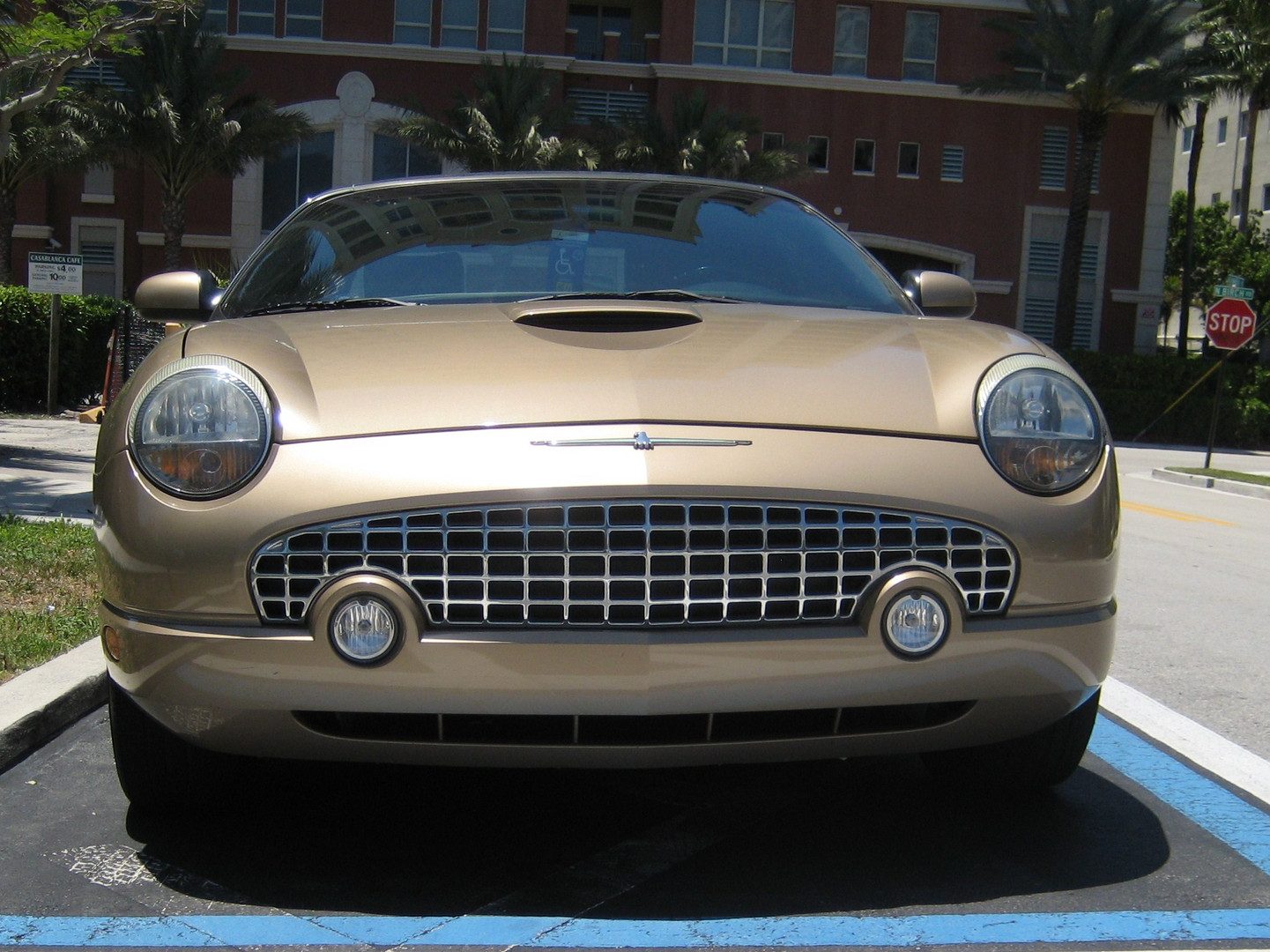 A beautifull old Ford Thunderbird.