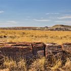 A bed in the grassland