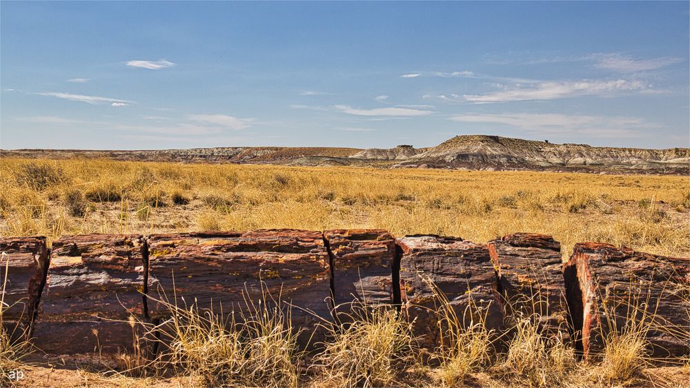 A bed in the grassland