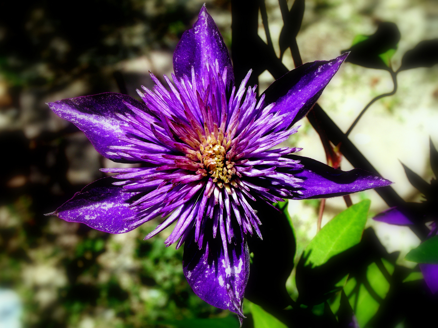 A bee's eye view!