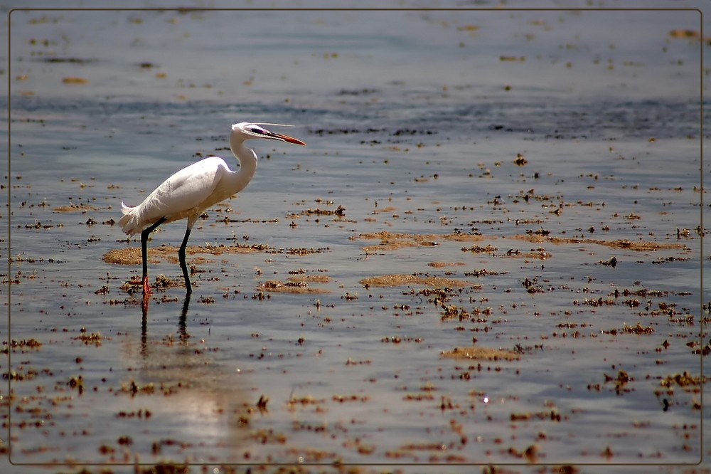 A beggar on a beach of gold