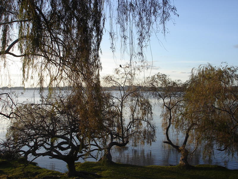 A Bela Colônia del Sacramento e o Pássaro.