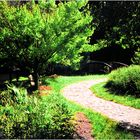 A Bench, a Bridge, and a Winding Path - A Meadowlark Moment