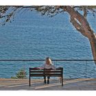 A Bench With A View