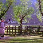 A Bhutanese man playing archery