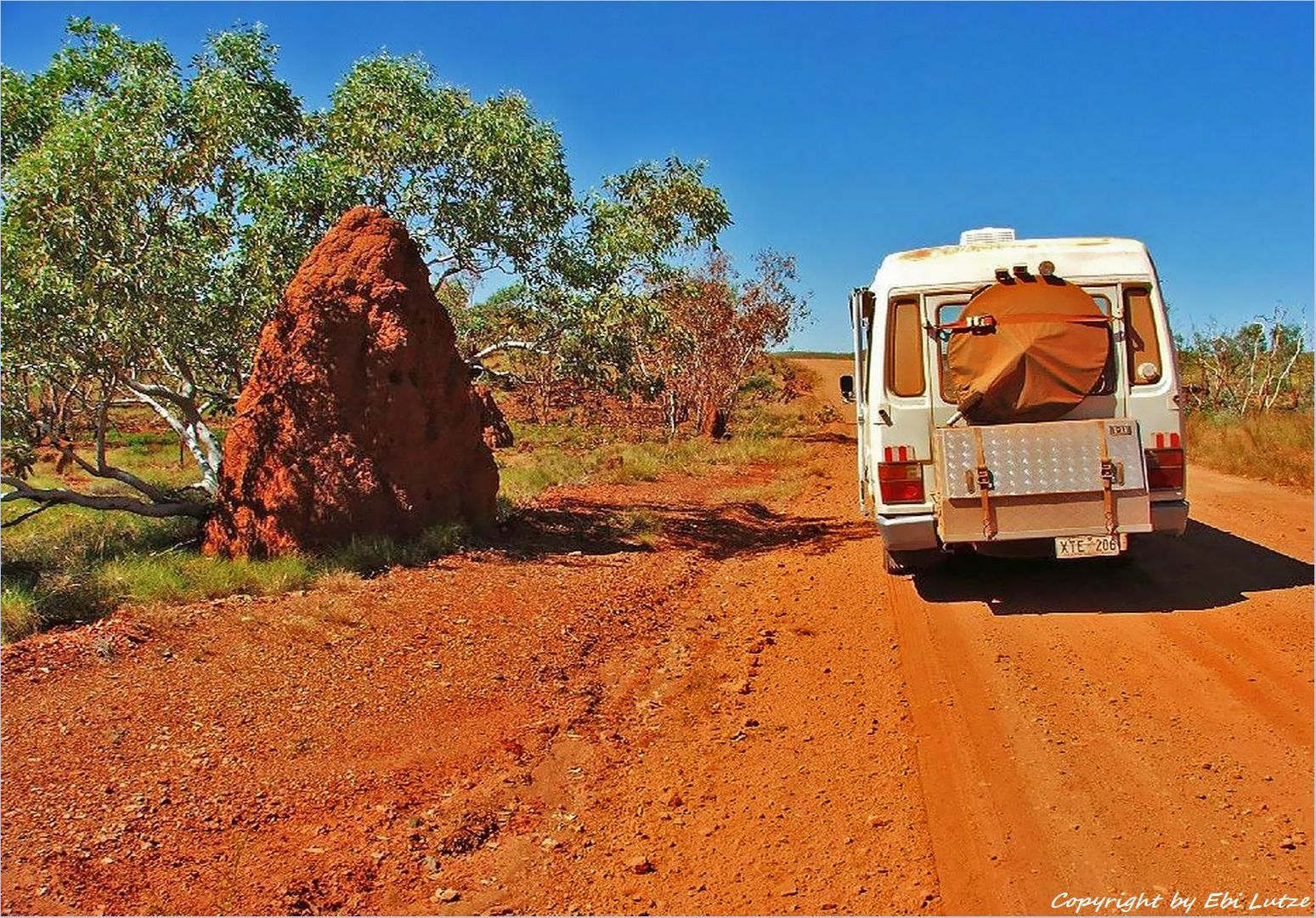 * A bigTermite build / on the Duncan Hwy WA *