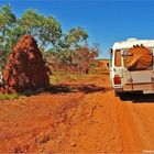 * A bigTermite build / on the Duncan Hwy WA *