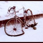 A bike of Salvador Dali