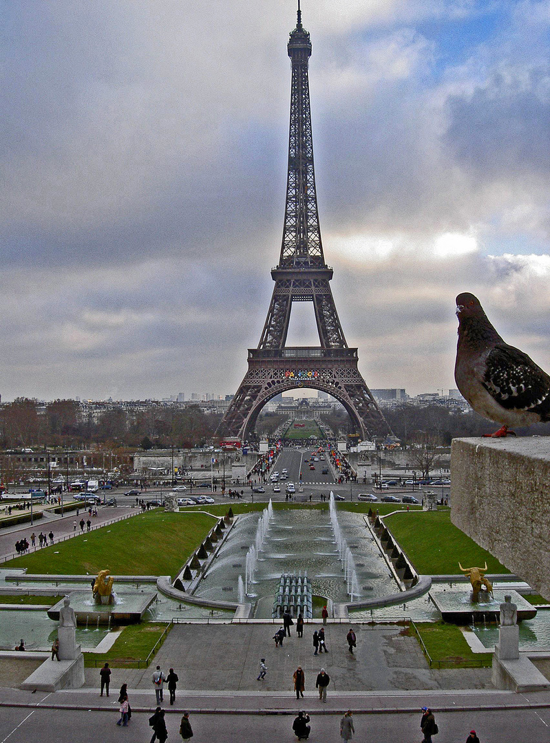 A bird and Eifel