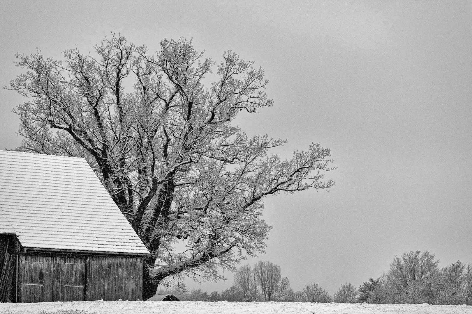 A bisserl Schnee